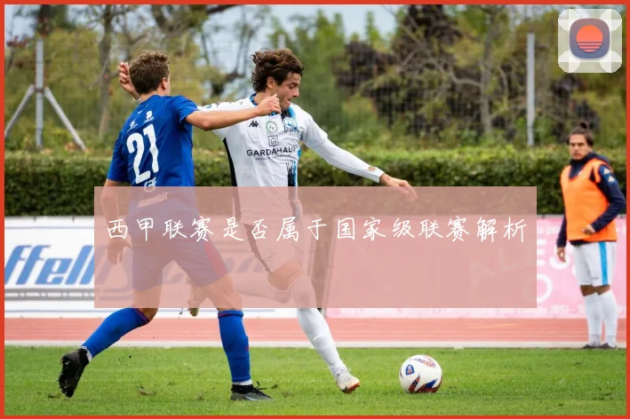 西甲联赛是否属于国家级联赛解析