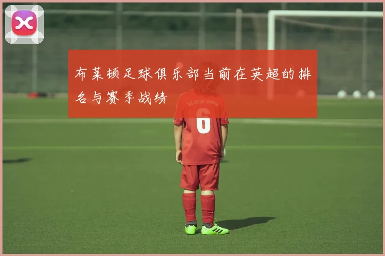 布莱顿足球俱乐部当前在英超的排名与赛季战绩