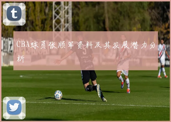 CBA球员张顺军资料及其发展潜力分析