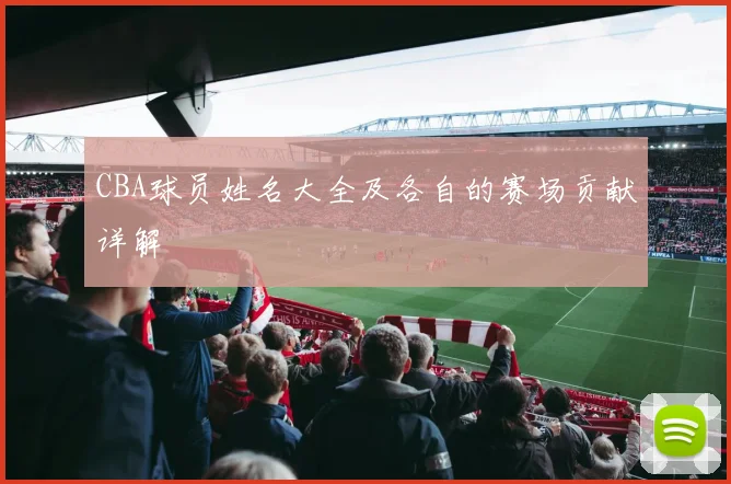 CBA球员姓名大全及各自的赛场贡献详解